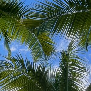 Meet your Posher, Karl /